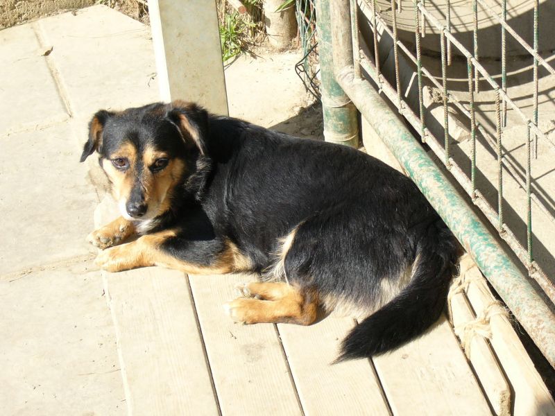 2008-04-23-19-23-41.jpg