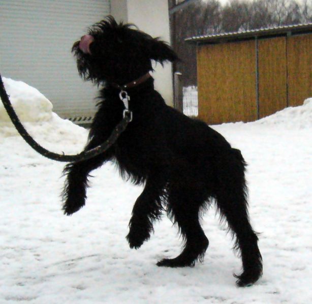 2009-02-01-11-04-54.jpg