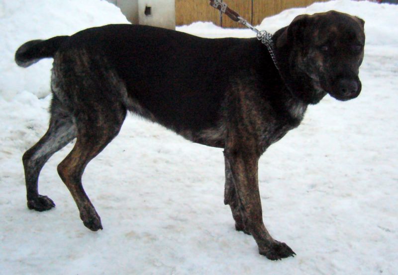 2009-01-18-16-59-40.jpg