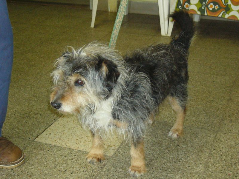2009-02-20-14-20-39.jpg