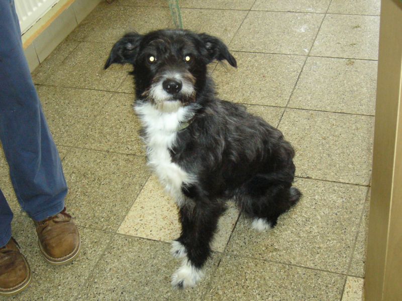2009-02-20-14-41-04.jpg